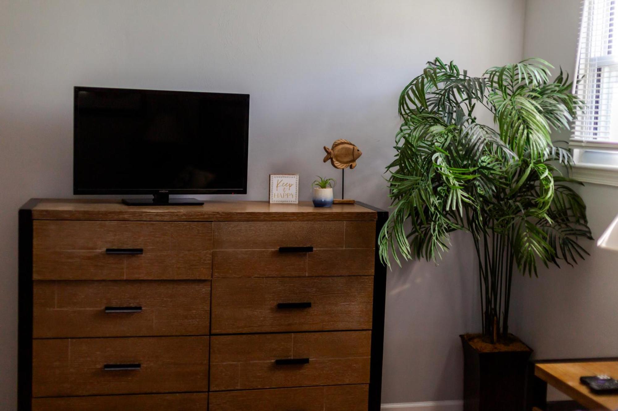 נורפולק Fantastic 3Br Close To Botanical Gardens And Airport מראה חיצוני תמונה