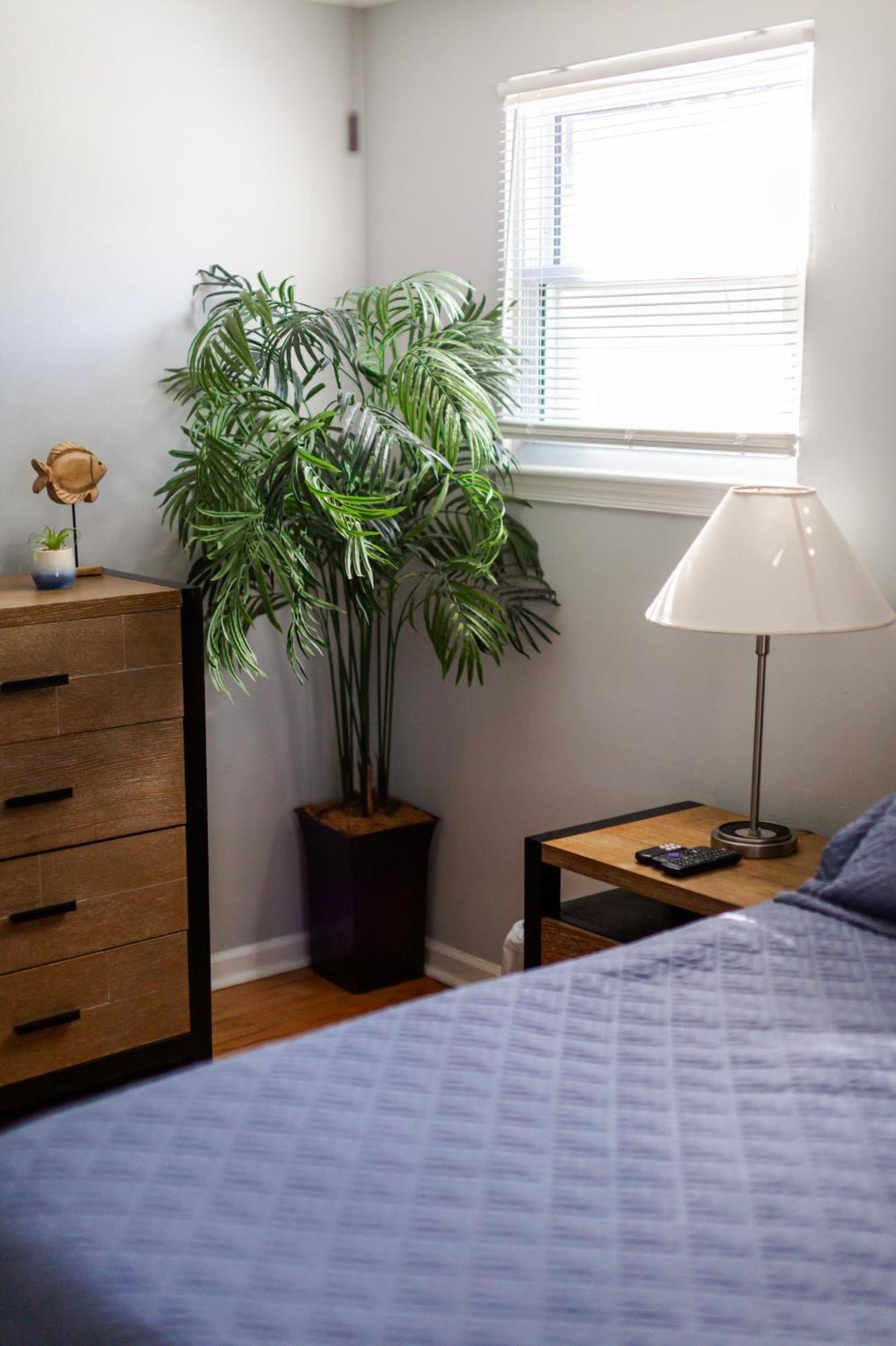 נורפולק Fantastic 3Br Close To Botanical Gardens And Airport מראה חיצוני תמונה