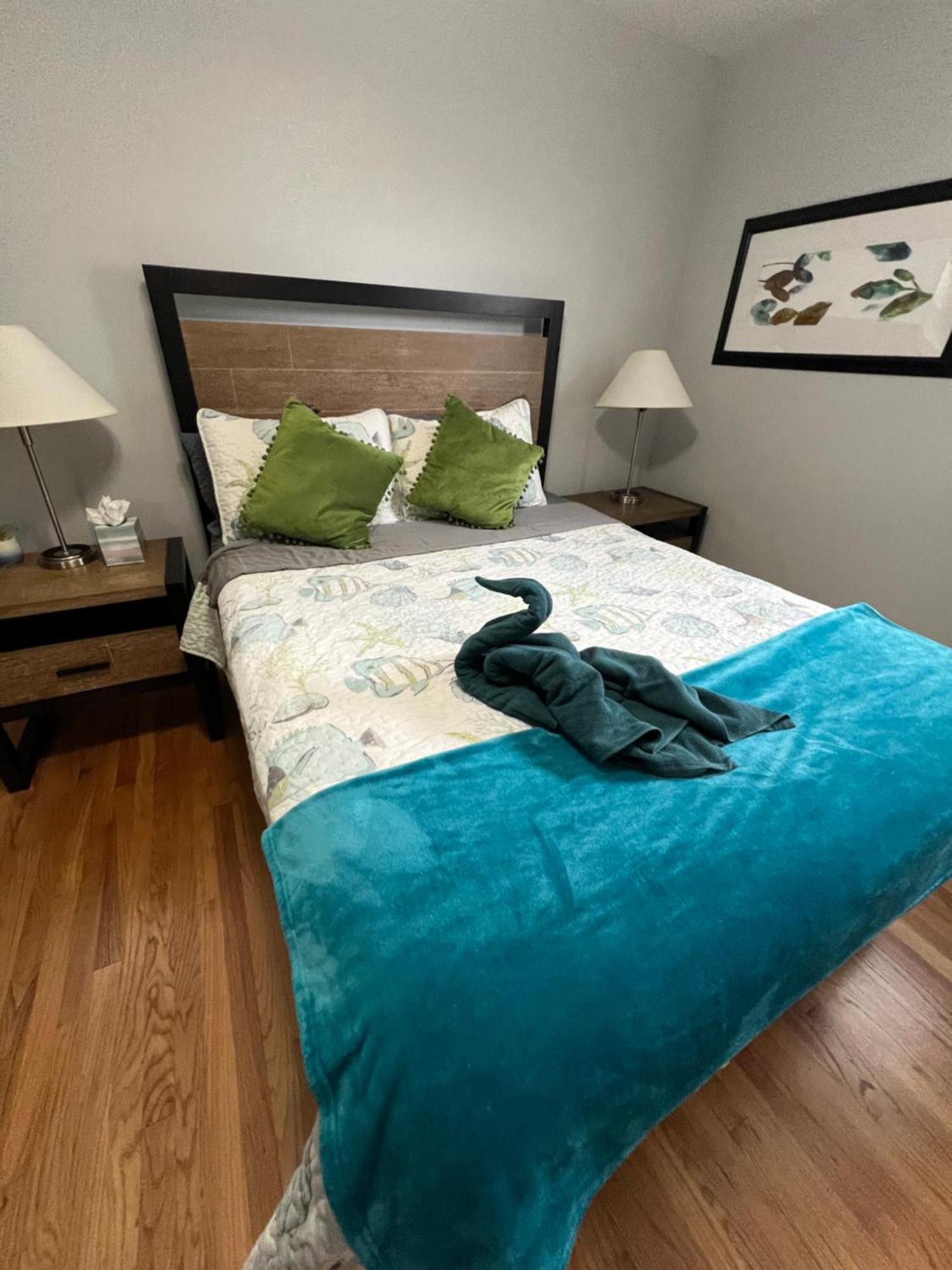 נורפולק Fantastic 3Br Close To Botanical Gardens And Airport מראה חיצוני תמונה